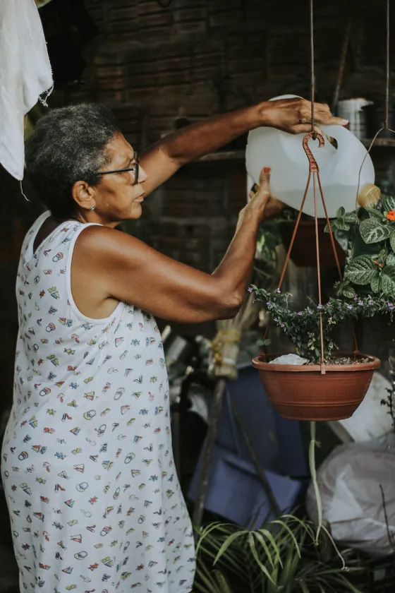 What to check before you bring a new plant home